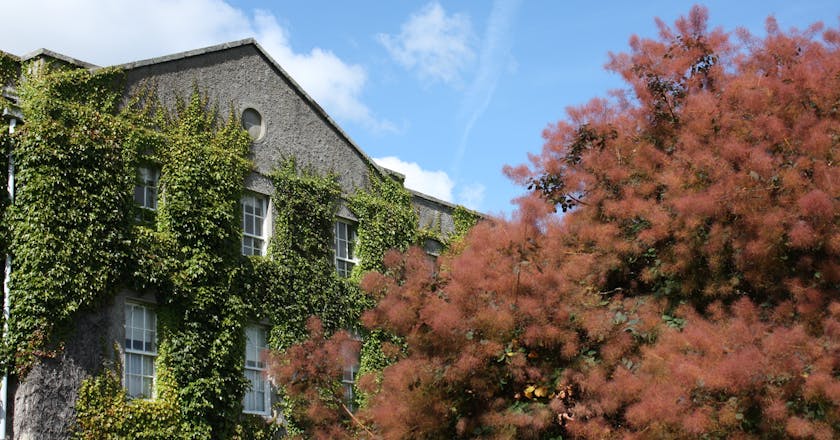 Vue panoramique de Maynooth