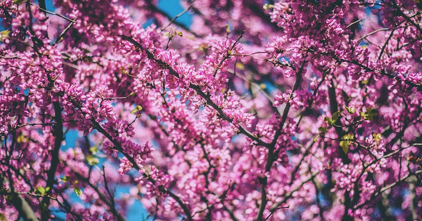 Bahía Blanca manzarası