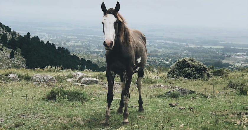 Scenic view of Tandil