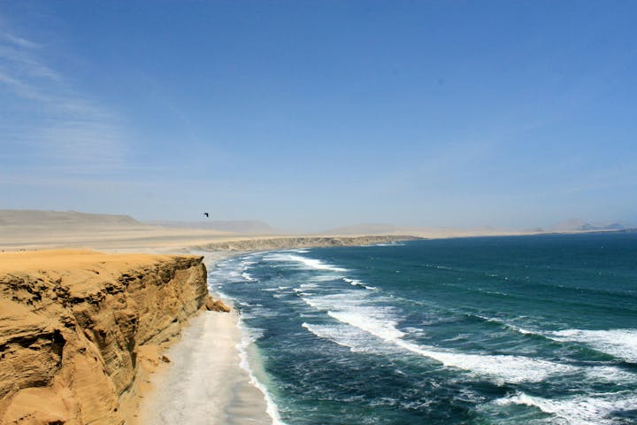 Buses to Paracas