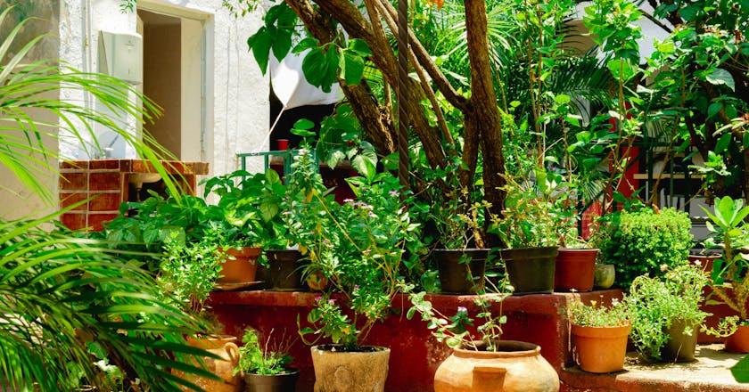 Vista panorámica de Tuxtla Gutiérrez