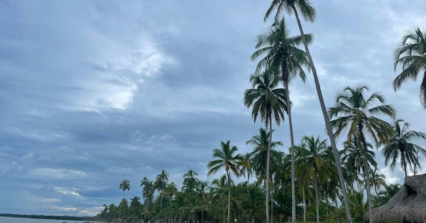 Scenic view of Palomino