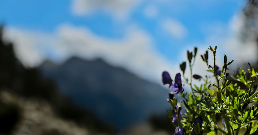 Живописный вид на Уэска