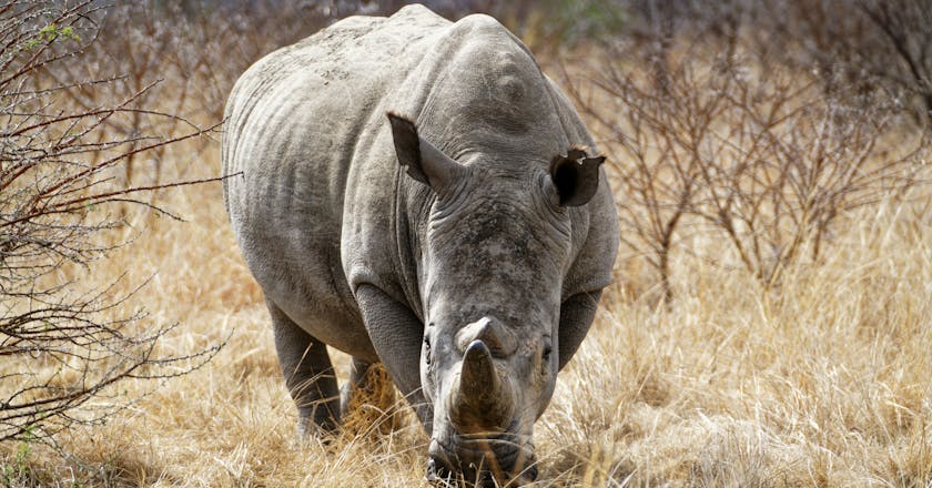 Vista panoramica di Ladysmith, ZA