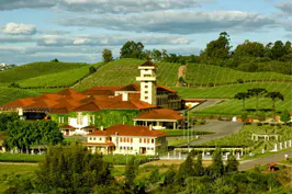 Кашиас-ду-Сул