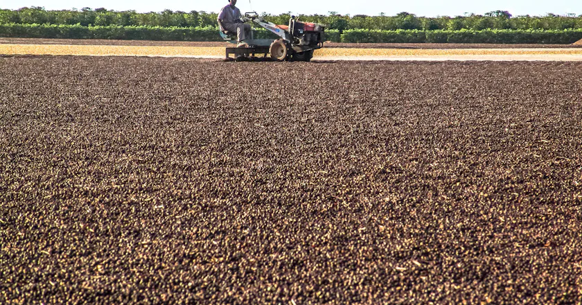 Vista panoramica di Luis Eduardo Magalhaes