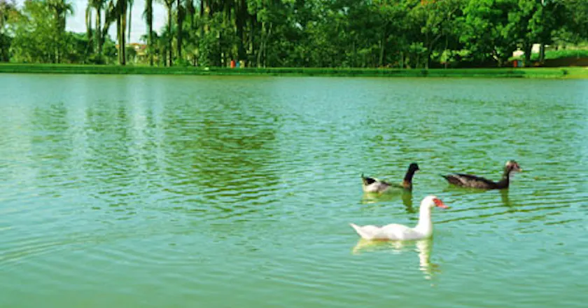 Scenic view of Piracanjuba