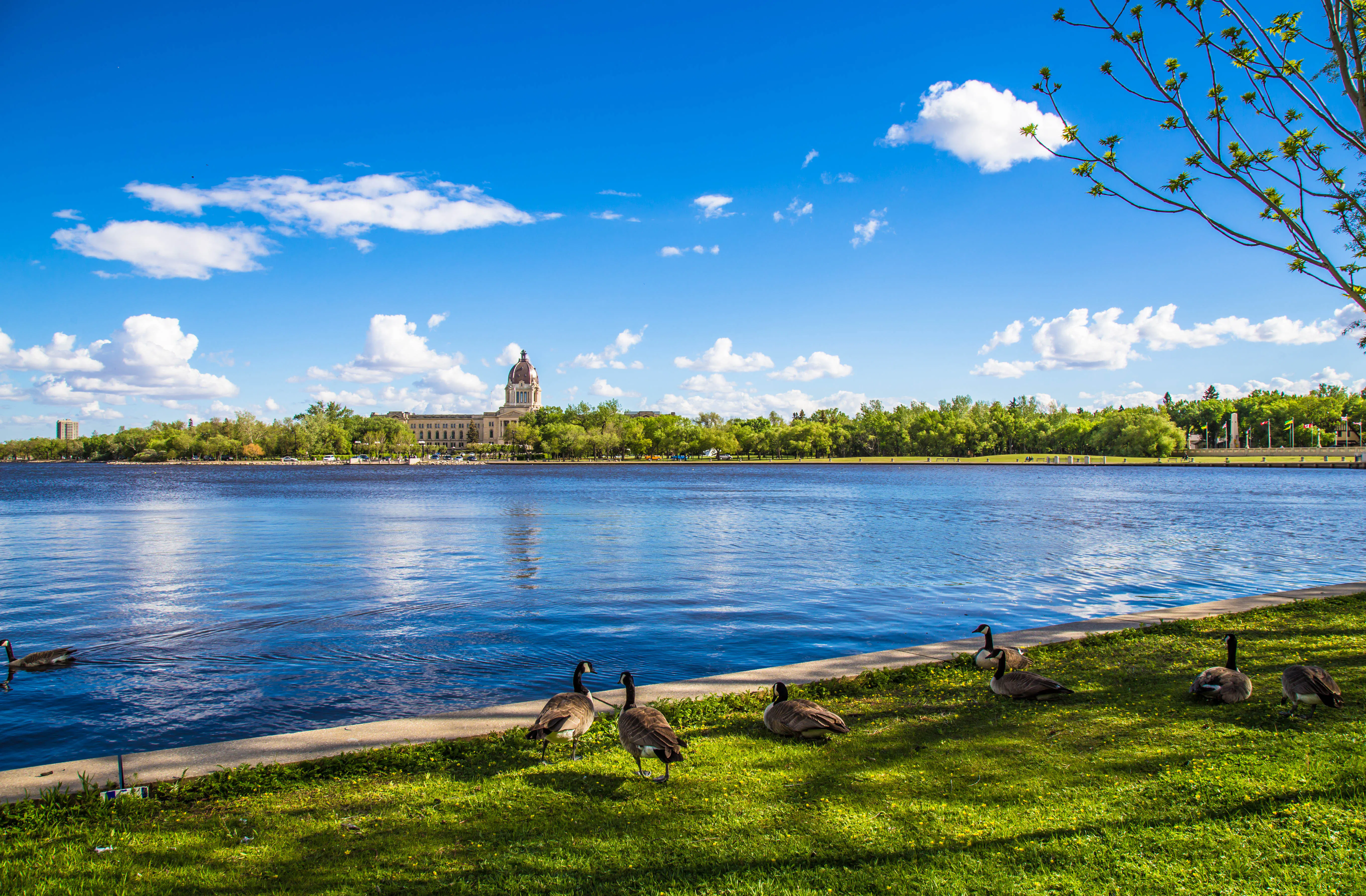 How to get to Saskatoon from Regina