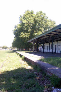 Información sobre San Vicente