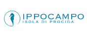 Ippocampo