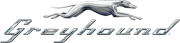 Greyhound