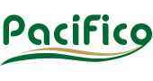 Pacifico