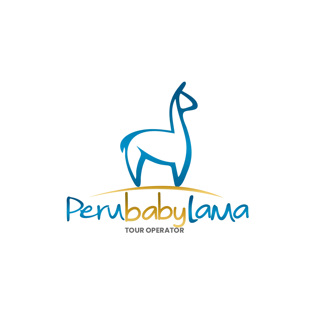 Peru Baby Lama
