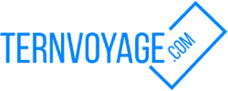 Ternvoyazh
